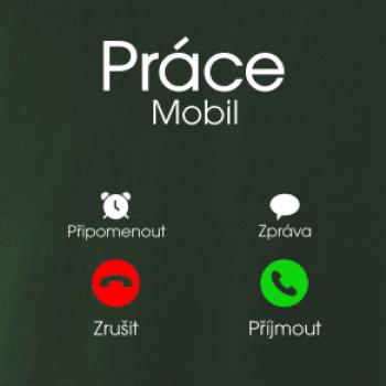 Práce volá