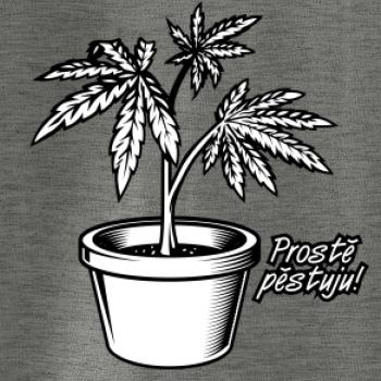 Konopi prostě pěstuju Konopi prostě pěstuju