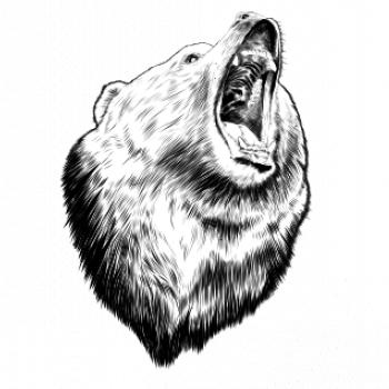 Medvěd trošku naštvaný