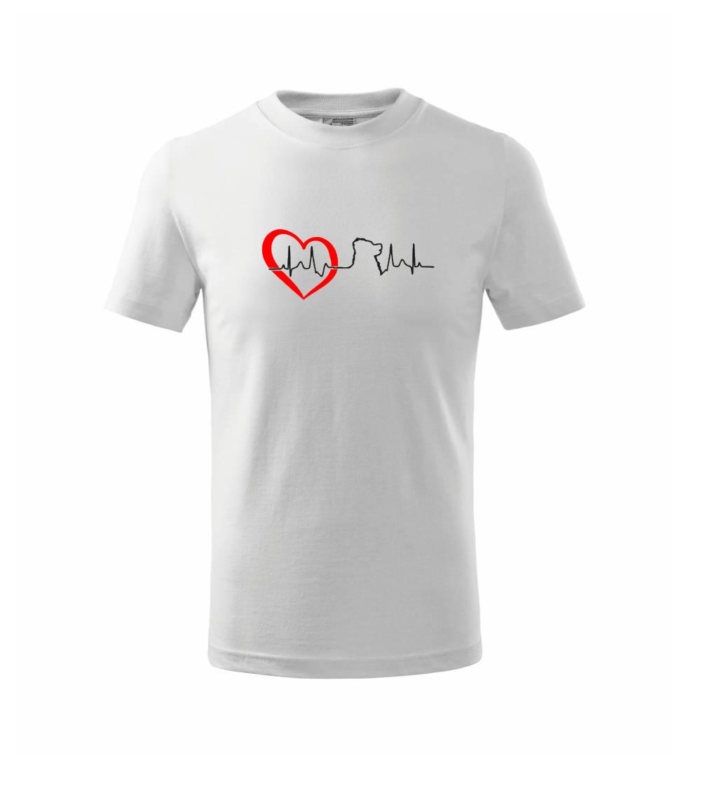 Bernský salašnický pes EKG