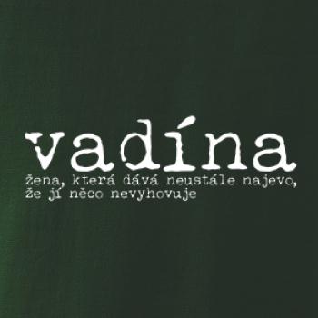 Čeština 2.0 - vadína