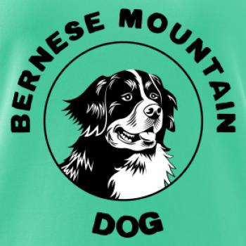 Bernese mountain dog v kruhu