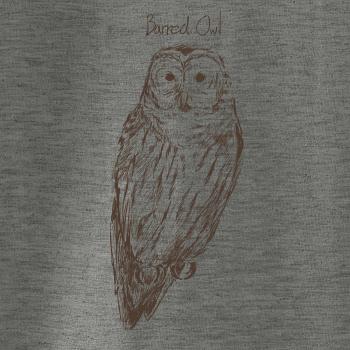 Puštík proužkovaný Barred owl