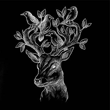 Jelen ochránce přírody