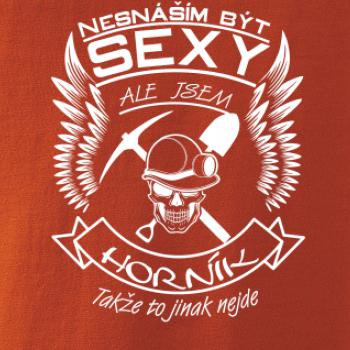 Nesnáším být sexy - horník