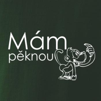 Mám pěknou vopici