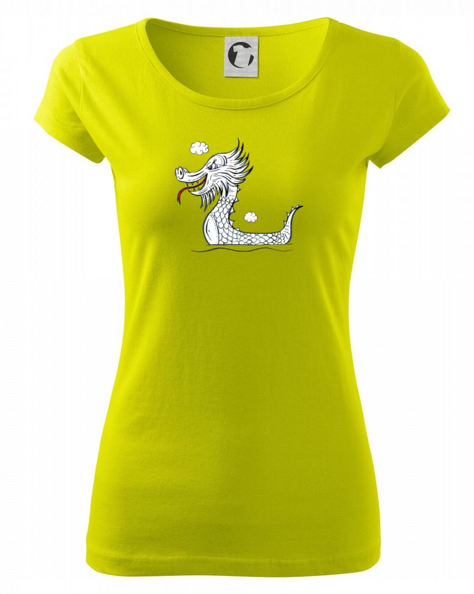 Dračí lodě olejomalba