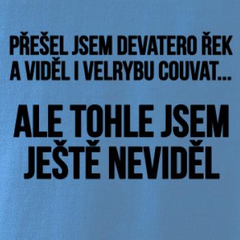 Viděl jsem velrybu couvat