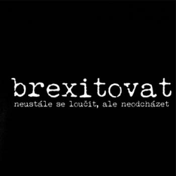 Čeština 2.0 - brexitovat