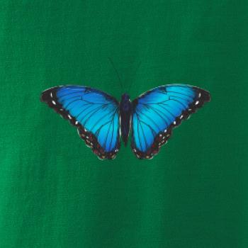 Motyl babočka Morpho Peleides