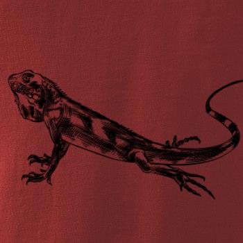 Tužkou kreslený Leguán 