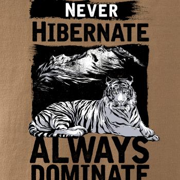 Never Hibernate
