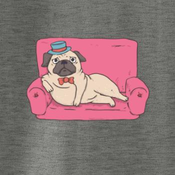 Mops na gauči