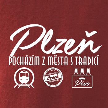 Plzeň město s tradicí