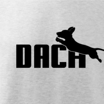 Jezevčík Dach Jezevčík Dach