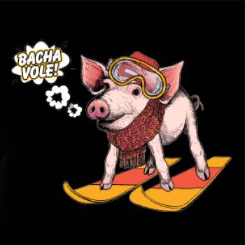 Bacha vole, prase!