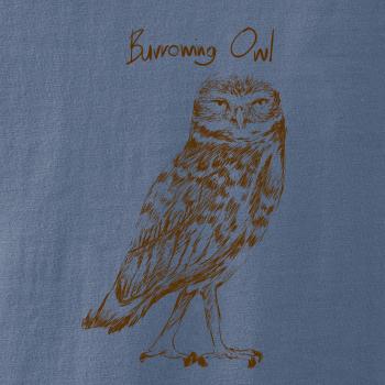 Sýček králičí burrowing owl