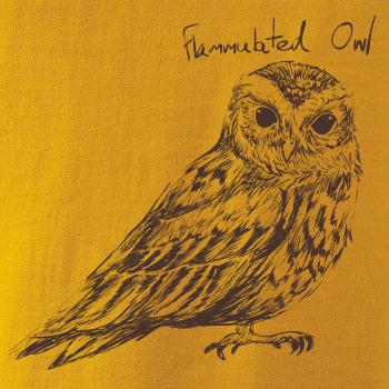 Výreček plaménkový flammulated owl