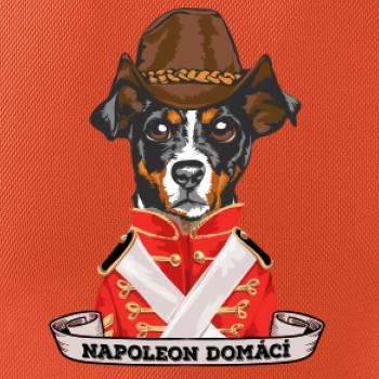Napoleon domácí pes kříženec