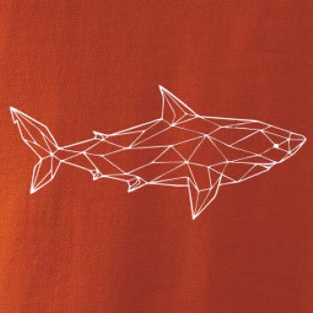 Geometrie - žralok tělo