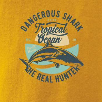 Dangerous Shark Dangerous Shark