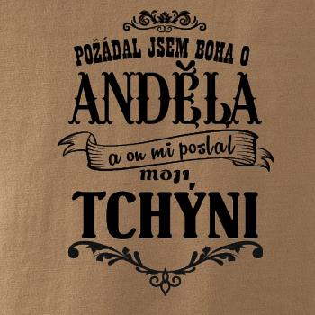 Požádal jsem boha o anděla a on mi poslal moji tchýni