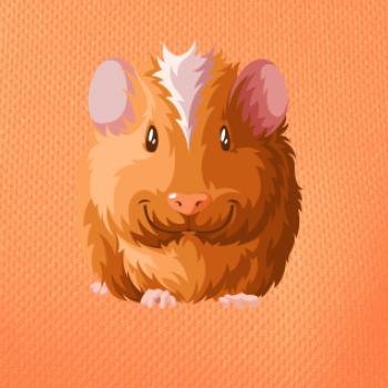 Morče - kreslené zepředu