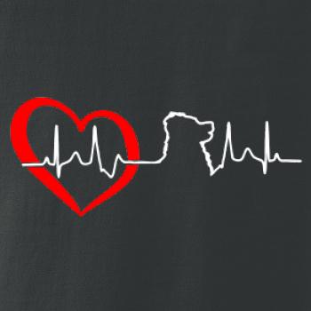 Bernský salašnický pes EKG