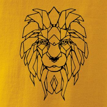 Geometrie - lev tvář