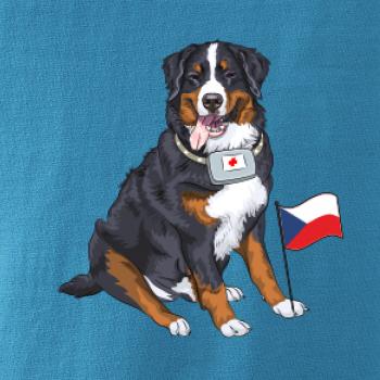 Pes záchranář bernský salašnický