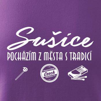 Sušice město s tradicí