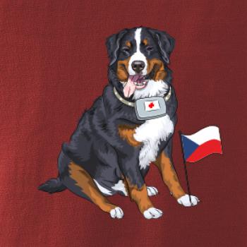 Pes záchranář bernský salašnický