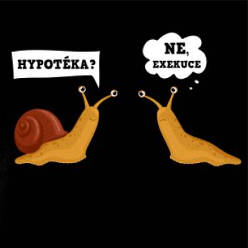 Hypotéka exekuce