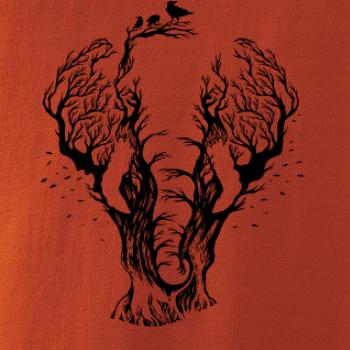 Slon ilustrace