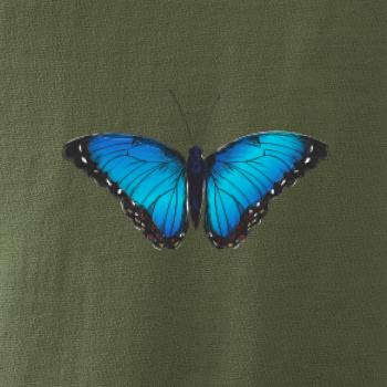 Motyl babočka Morpho Peleides