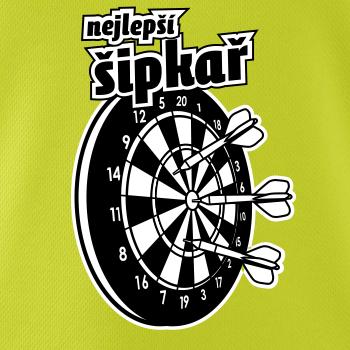 Nejlepší šipkař Nejlepší šipkař