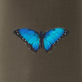 Motyl babočka Morpho Peleides