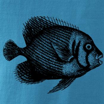 Mořská ryba kreslená