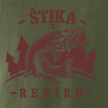 Štika v revíru