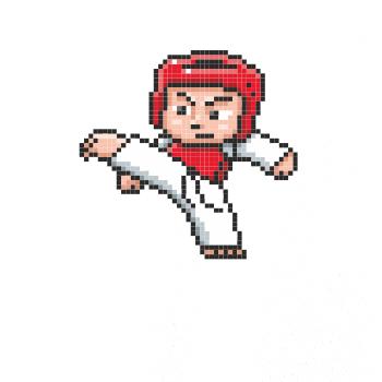 Taekwondo pixel