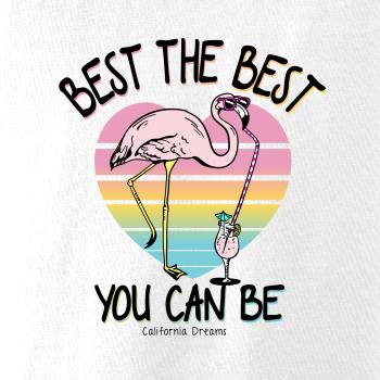 Best the best plameňák