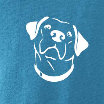 Labrador obrys
