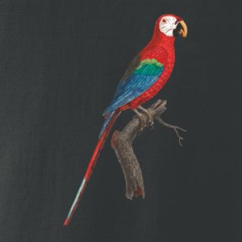 Papoušek červený na větvi