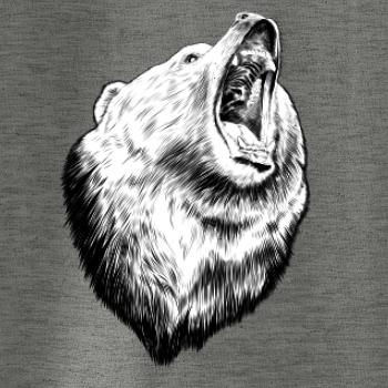 Medvěd trošku naštvaný