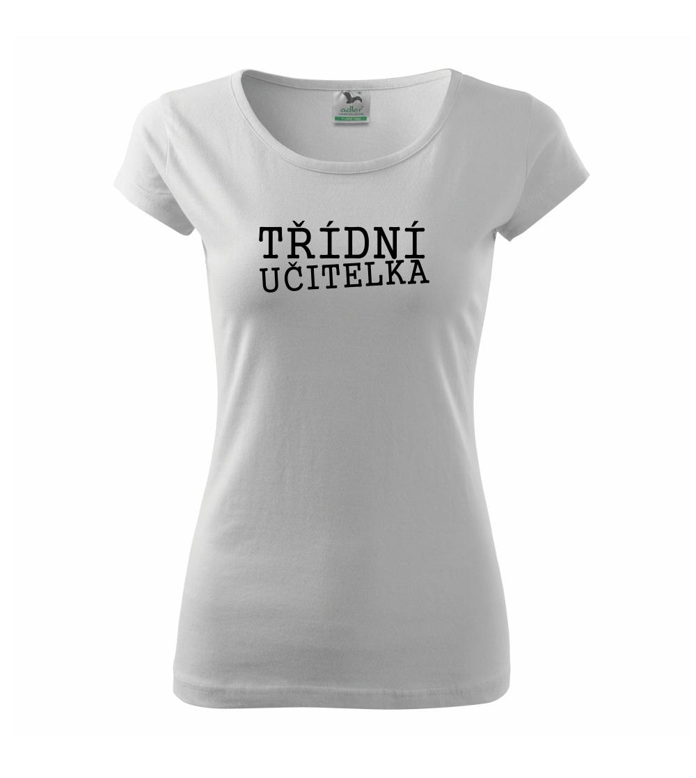Třídní učitelka Třídní učitelka