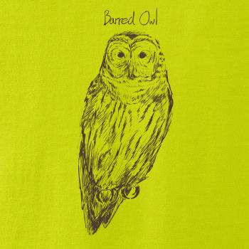 Puštík proužkovaný Barred owl