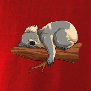 Koala na větvi