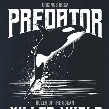 Orca predator Orca predator