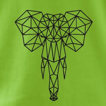 Geometrie - slon chobot