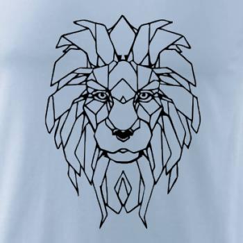 Geometrie - lev tvář